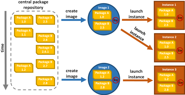 Immutable Images